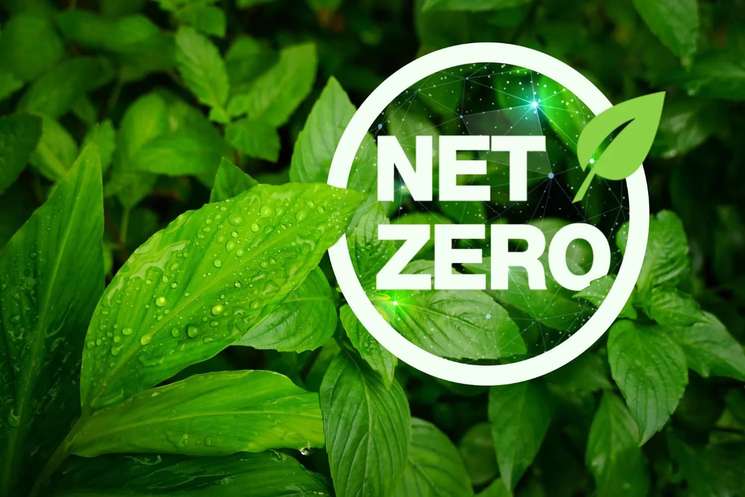 Net-Zero: O principal desafio corporativo dos próximos anos e como o Enform pode te ajudar nessa jornada