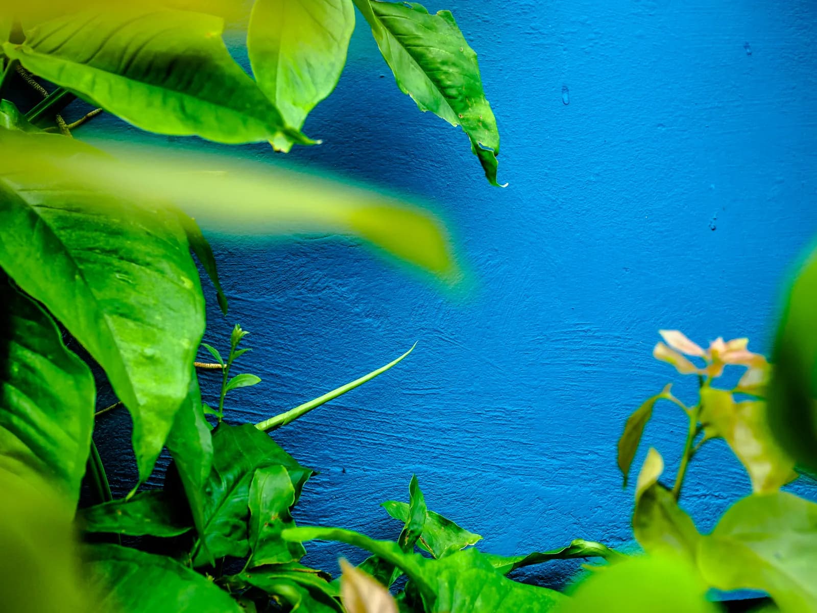 Selo Casa Azul + CAIXA: Certificação de Sustentabilidade e Inovação no Setor da Construção Civil